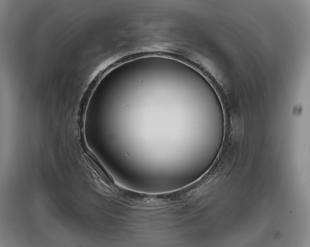 X0000097481308200802291349
