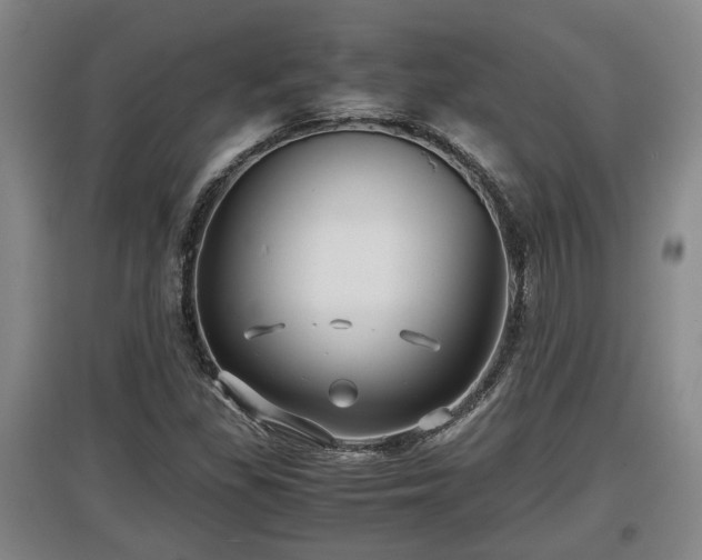 X0000097481309200802291349