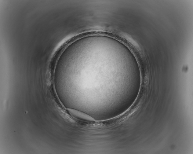 X0000097481310200802291349