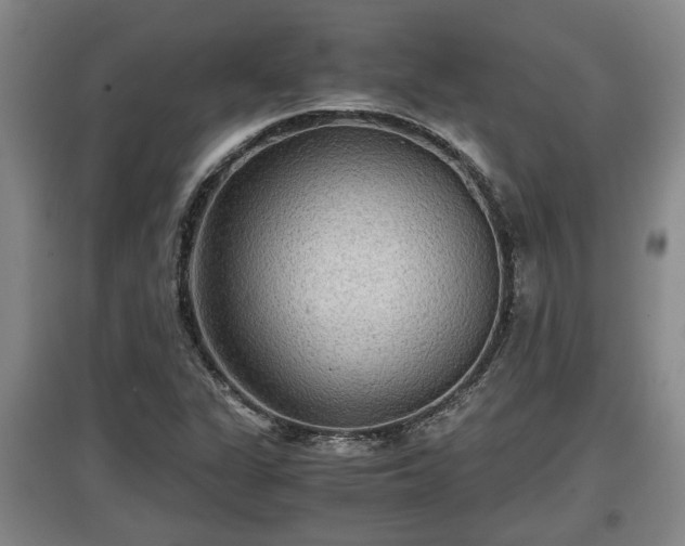 X0000097481311200802291349