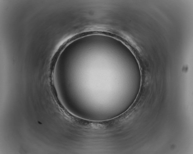 X0000097481312200802291349