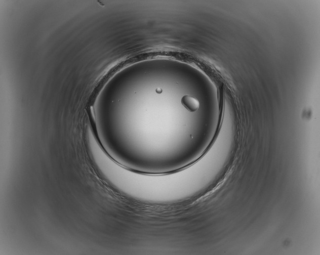 X0000097481313200802291349