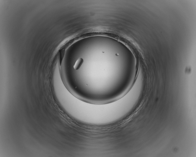 X0000097481314200802291349
