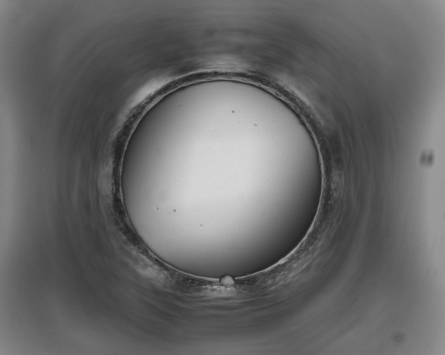 X0000097481315200802291349