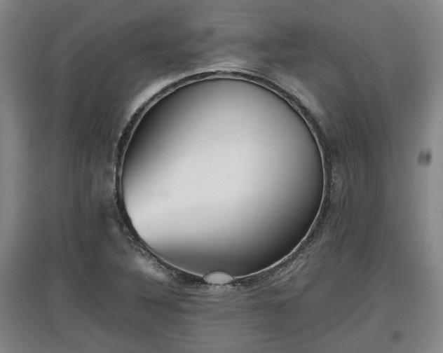 X0000097481316200802291349