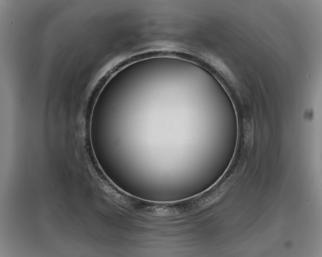 X0000097481318200802291349