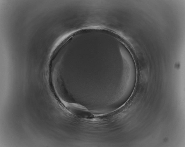 X0000097481319200802291349