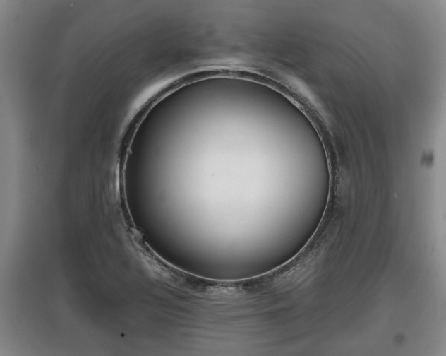 X0000097481320200802291349