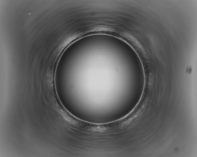 X0000097481321200802291349