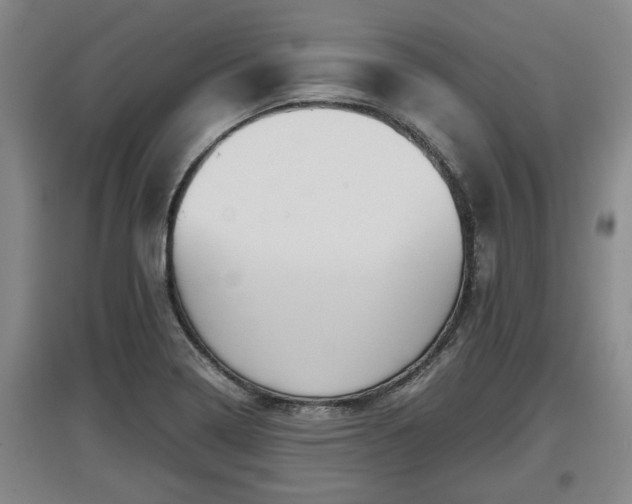 X0000097481322200802291349