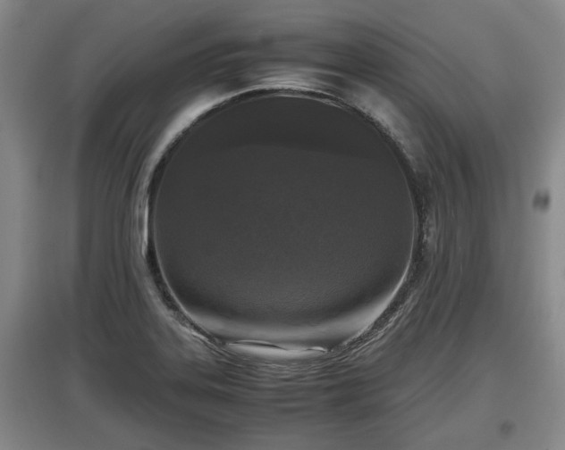 X0000097481323200802291349