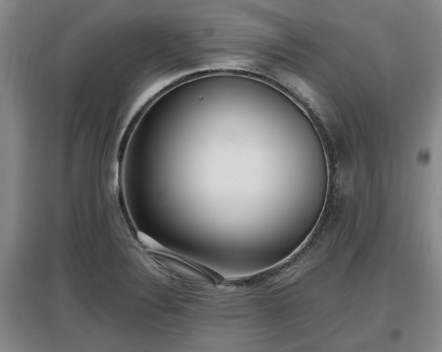 X0000097481324200802291349