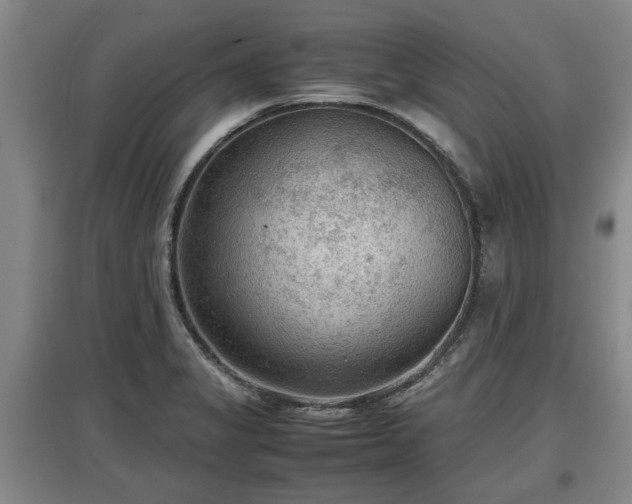 X0000097481325200802291349