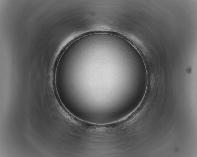 X0000097481326200802291349