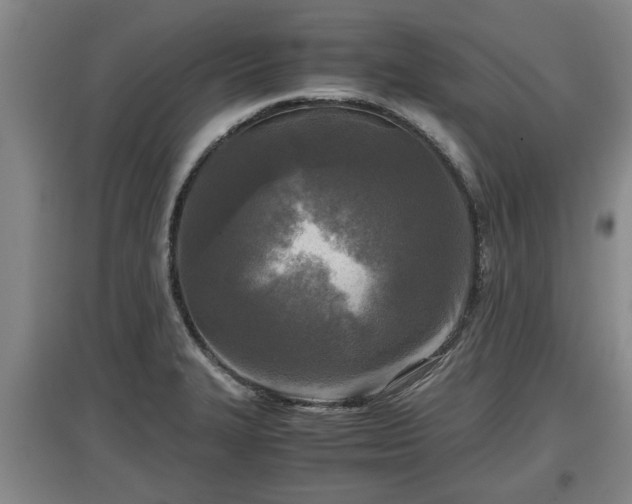 X0000097481327200802291349