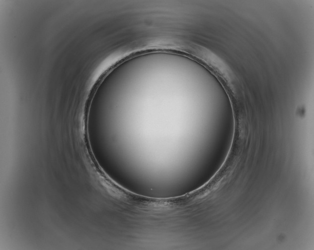 X0000097481328200802291349