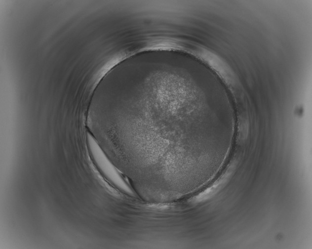 X0000097481329200802291349