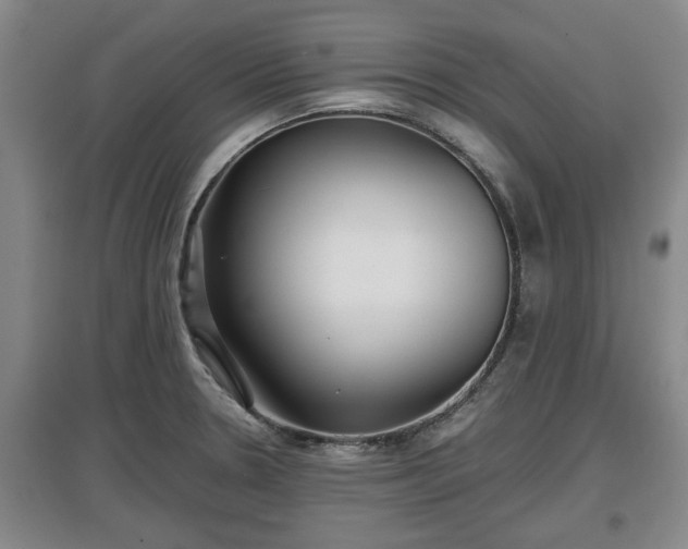 X0000097481330200802291349