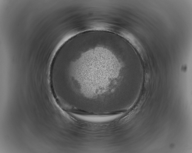 X0000097481331200802291349