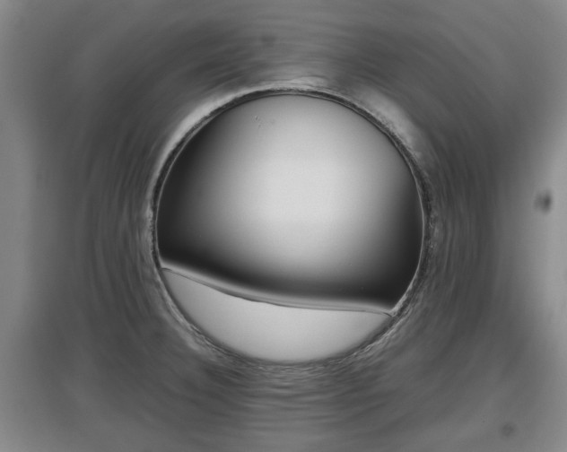 X0000097481332200802291349