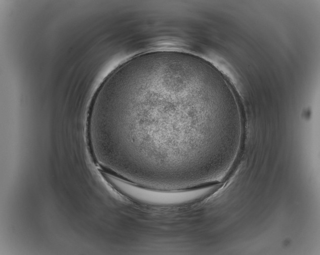 X0000097481333200802291349