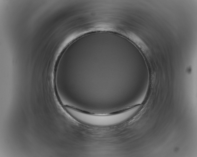X0000097481334200802291349
