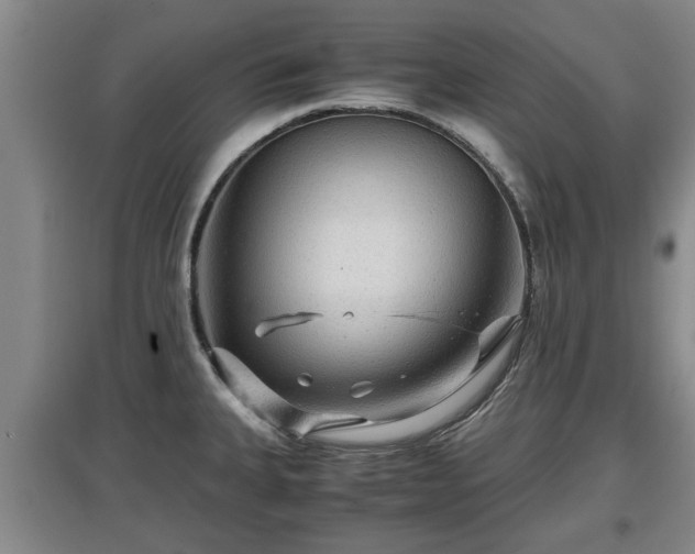 X0000097481335200802291349