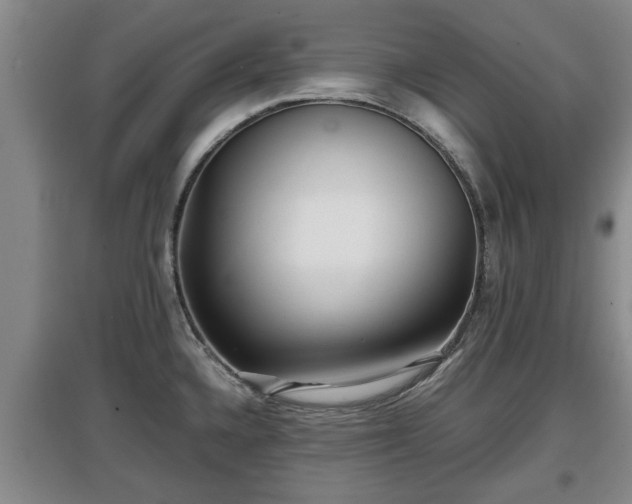 X0000097481336200802291349