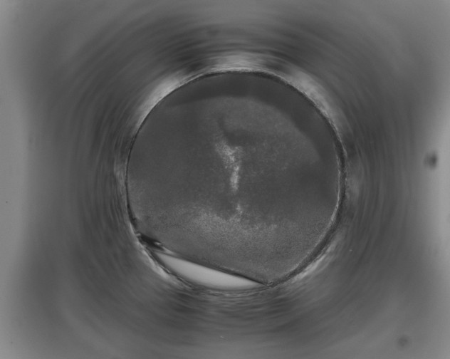 X0000097481337200802291349