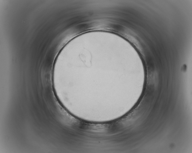 X0000097481338200802291349