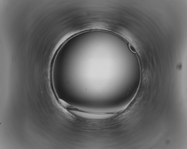 X0000097481339200802291349