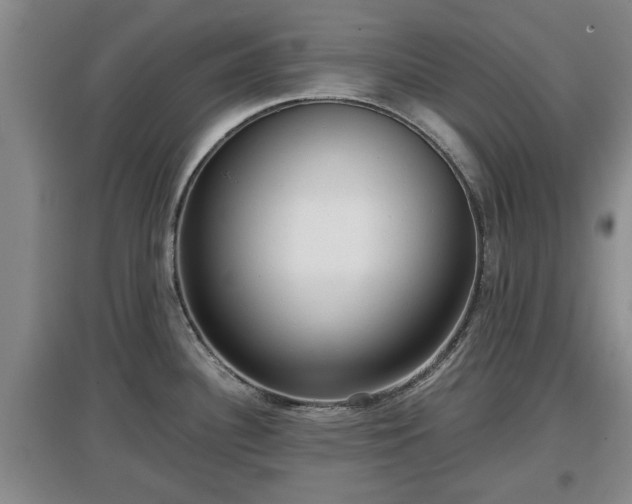 X0000097481340200802291350