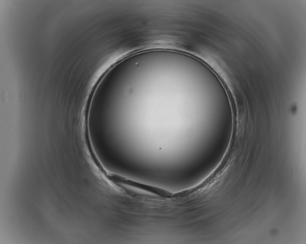X0000097481341200802291350