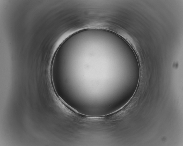 X0000097481344200802291350