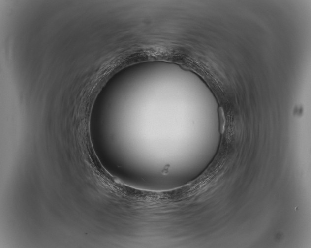 X0000097481345200802291349