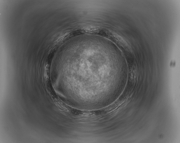X0000097481346200802291349