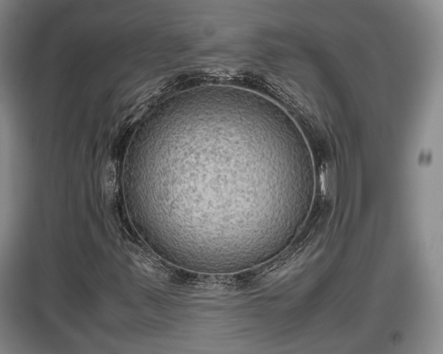 X0000097481347200802291349