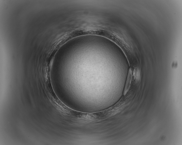 X0000097481348200802291349