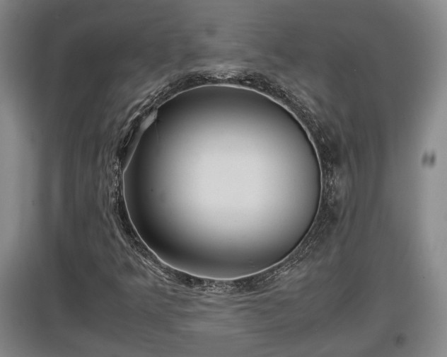 X0000097481349200802291349