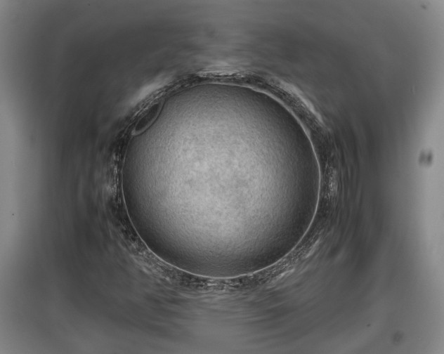 X0000097481350200802291349