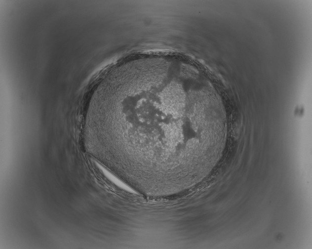 X0000097481351200802291349