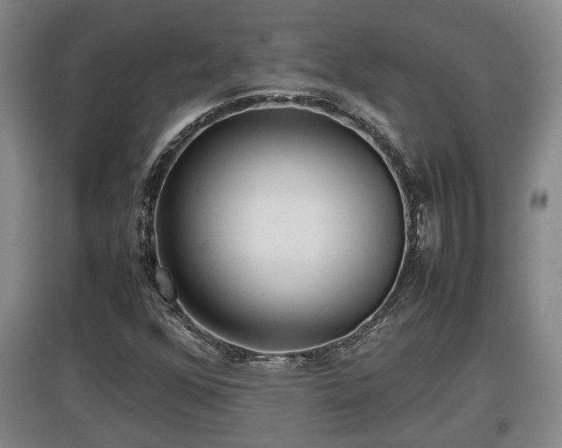 X0000097481352200802291349