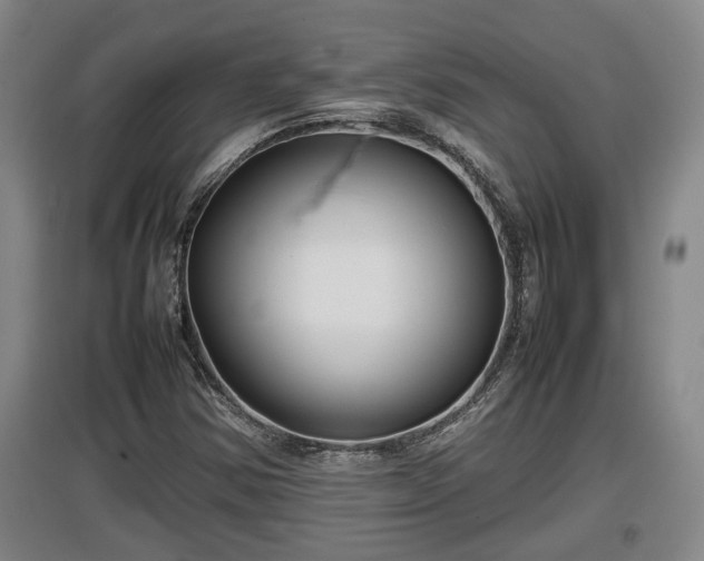 X0000097481354200802291349