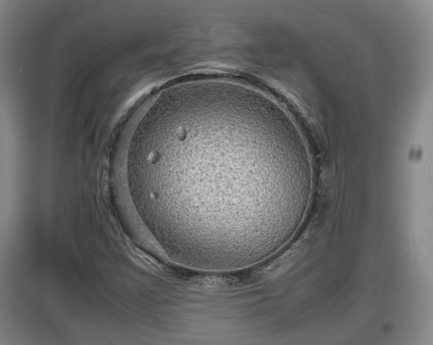 X0000097481355200802291349