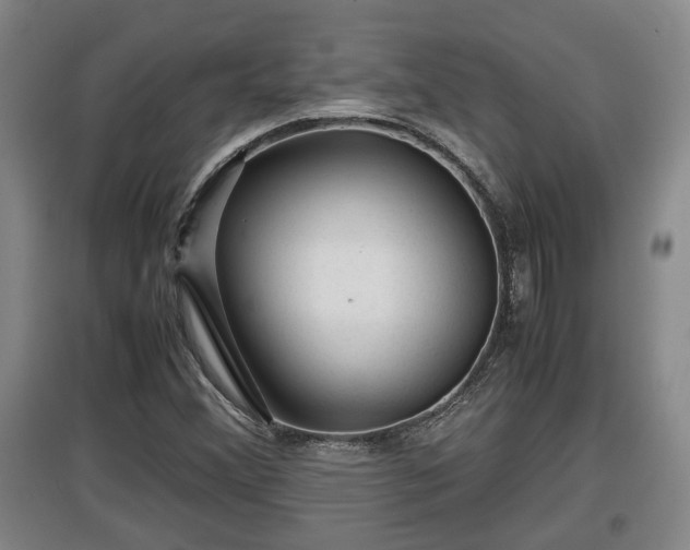 X0000097481356200802291349