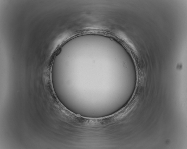 X0000097481357200802291349