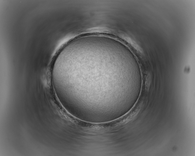 X0000097481358200802291349