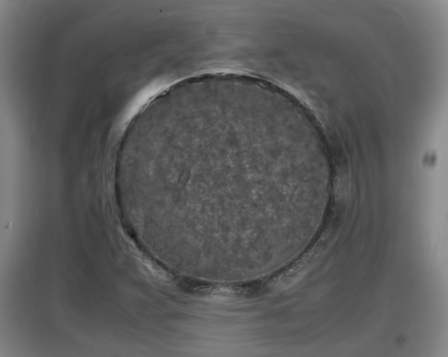 X0000097481359200802291348