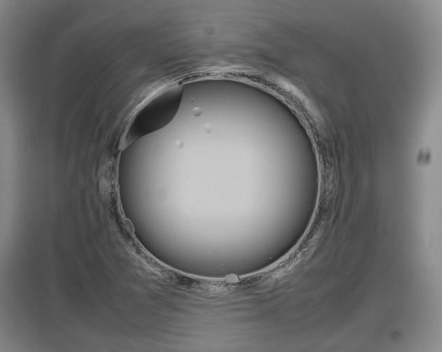 X0000097481361200802291348