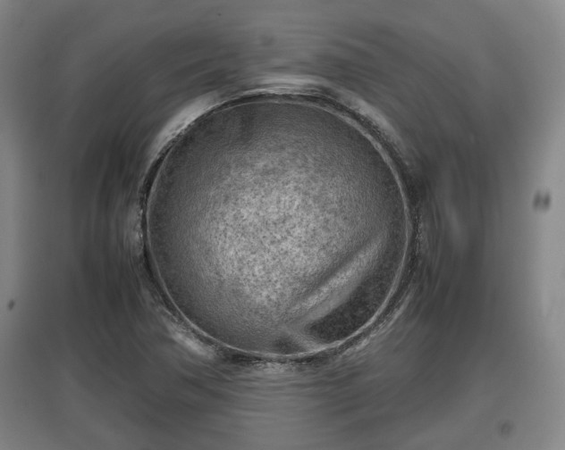 X0000097481362200802291348